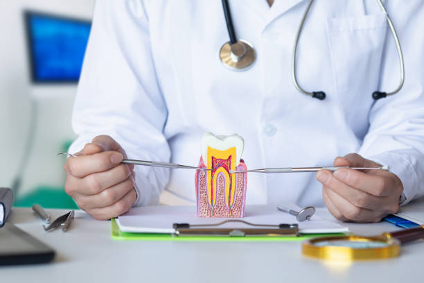 Best Emergency Dental Care for Broken or Chipped Teeth in Duryea, PA